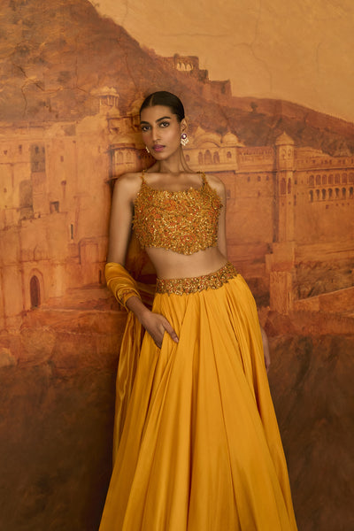 Punit Balana Choli ke Peeche Lehenga Indian designer wear online shopping melange singapore