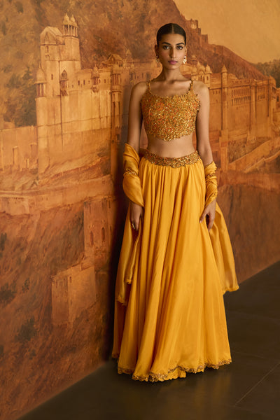Punit Balana Choli ke Peeche Lehenga Indian designer wear online shopping melange singapore
