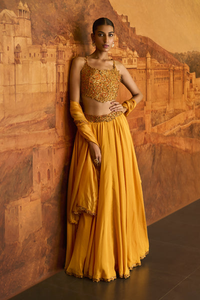 Punit Balana Choli ke Peeche Lehenga Indian designer wear online shopping melange singapore