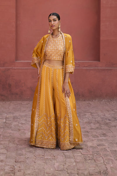 Punit Balana Rani Sa Sharara indian designer wear online shopping melange singapore
