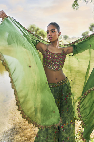 Punit Balana Ranthambhor Sharara Set indian designer wear online shopping melange singapore