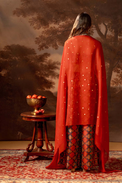 Sougat Paul Orani Embroidered Co-ord Set With Cape indian designer wear online shopping melange singapore
