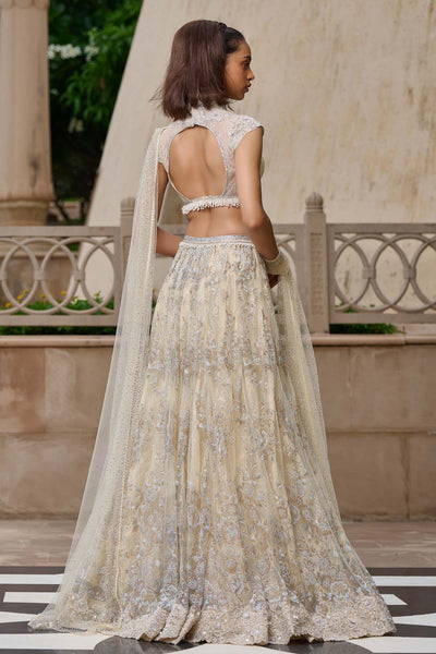 Tarun Tahiliani Crystal Embellished Lehenga indian designer wear online shopping melange singapore 