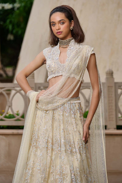 Tarun Tahiliani Crystal Embellished Lehenga indian designer wear online shopping melange singapore 