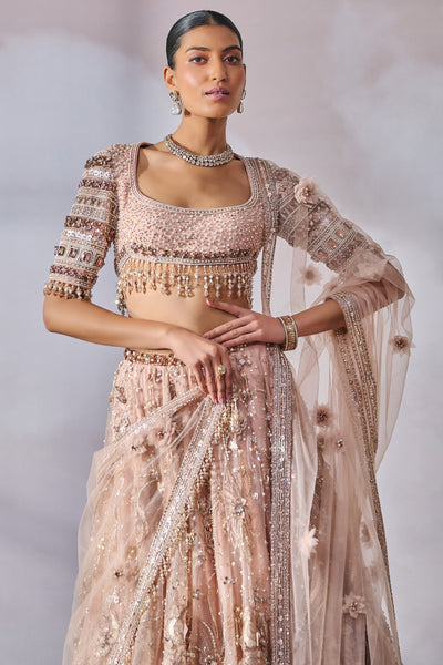 Tarun Tahiliani Blouse Dupatta Lehenga English Rose indian designer wear online shopping melange singapore