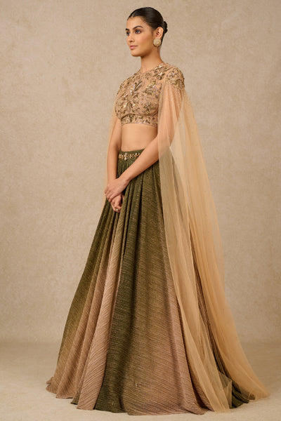 Tarun Tahiliani Blouse Skirt indian designer wear online shopping melange singapore