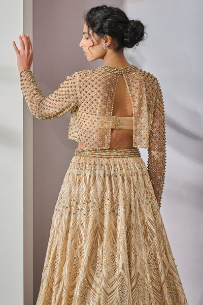 Tarun Tahiliani Bustier Top Lehenga indian designer wear online shopping melange singapore