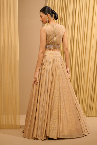 Tarun Tahiliani Crinkle Lehenga With Crystal Embellished Blouse indian designer wear online shopping melange singapore