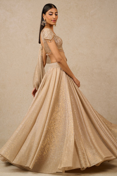 Tarun Tahiliani Skirt Blouse indian designer wear online shopping melange singapore