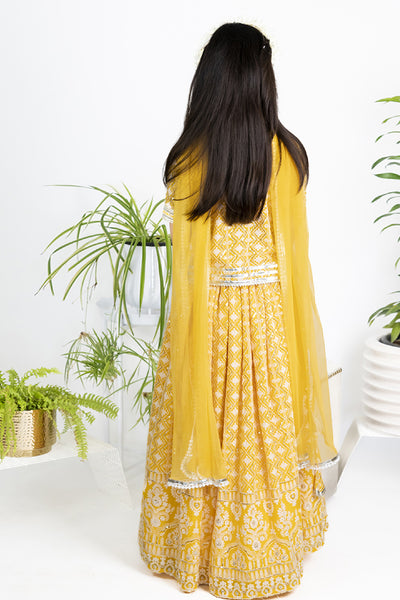 The Story Brand Chikkankari Lehenga Set With Box Blouse In Mango indian designer wear online shopping melange singapore