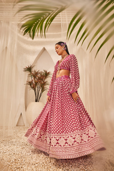 The Story Brand Lara Top With Stardust Lehenga In Rubis indian designer wear online shopping melange singapore
