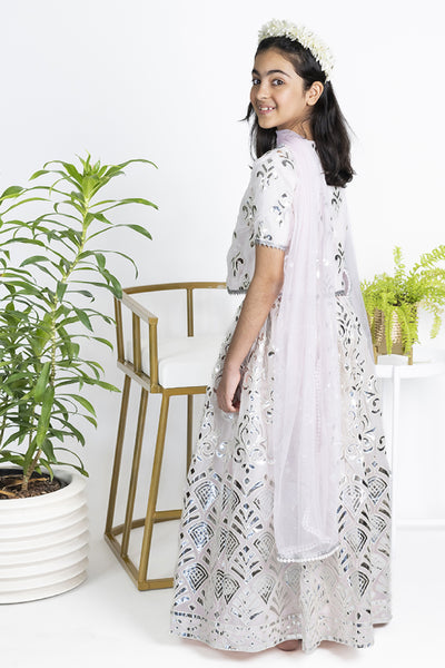 The Story Brand Sheesh Mahal Lehenga Set With Box Blouse In Blush indian designer wear online shopping melange singapore