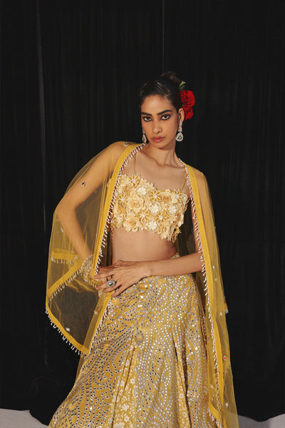 Twenty Nine Chikankari Mirrorwork Box Pleat Lehenga Set indian designer wear online shopping melange singapore
