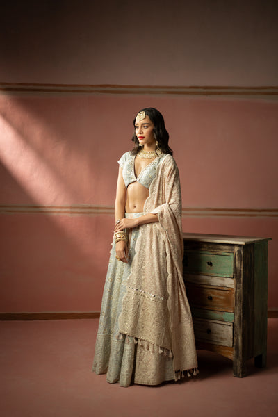 Twenty Nine Pastel Chikankari Lehanga Set indian designer wear online shopping melange singapore