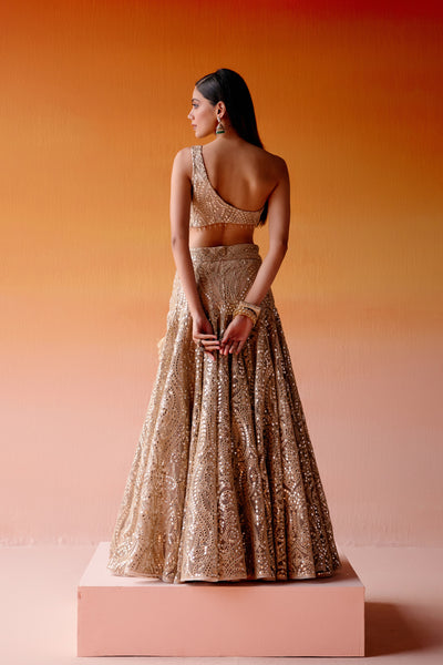 Twenty Nine Slim Fit Lehenga indian designer wear online shopping melange singapore