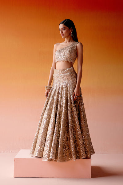 Twenty Nine Slim Fit Lehenga indian designer wear online shopping melange singapore