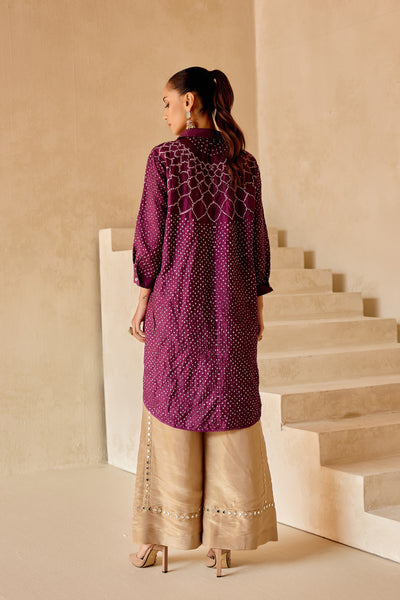 Twenty Nine Tissue Embellished Flared Pants indian designer wear online shopping melange singapore
