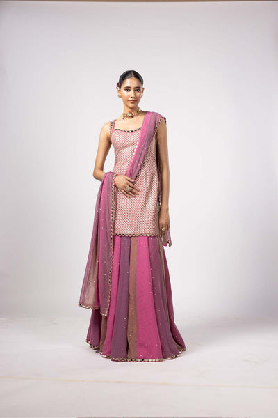 V Vani Vats Dark Blush Kurta Lehenga Pants Set indian designer wear online shopping melange singapore 