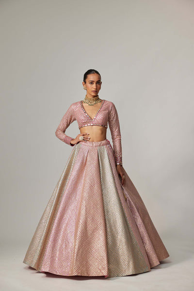 V Vani Vats Dark Blush Multicolor Metallic Gota Crop Top Skirt indian designer wear online shopping melange singapore 