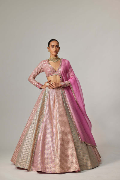V Vani Vats Dark Blush Multicolor Metallic Gota Crop Top Skirt With Dark Blush Dupatta indian designer wear online shopping melange singapore 
