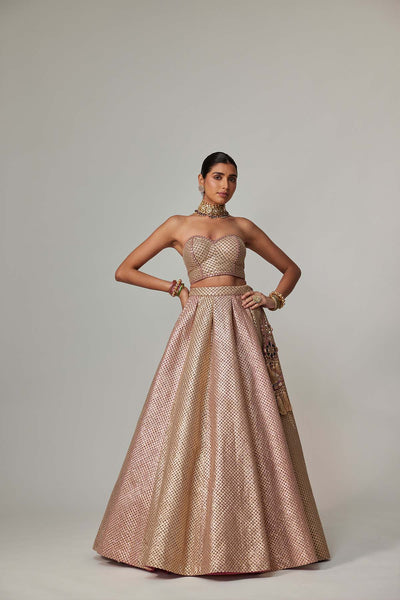V Vani Vats Deep Beige Multicolor Corset With Skirt indian designer wear online shopping melange singapore 
