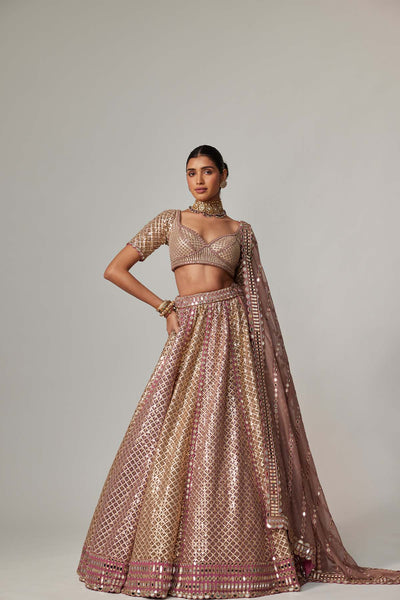 V Vani Vats Deep Beige Multicolor Metallic Lehenga With Elbow Blouse indian designer wear online shopping melange singapore 
