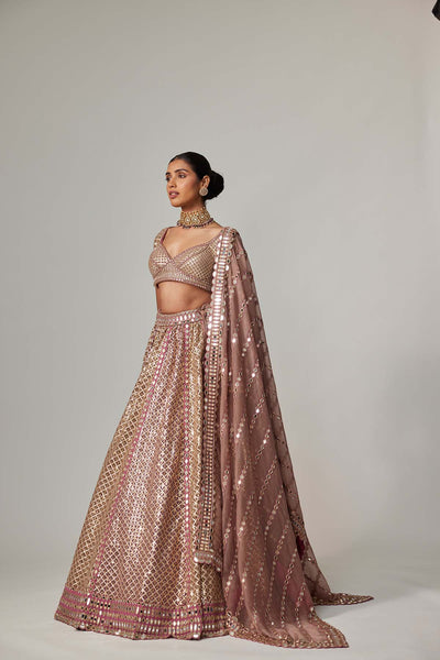 V Vani Vats Deep Beige Multicolor Metallic Lehenga With Elbow Blouse indian designer wear online shopping melange singapore 
