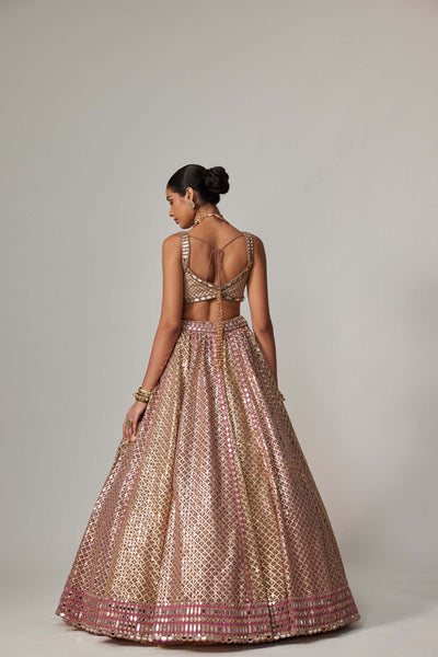 V Vani Vats Deep Beige Multicolor Metallic Lehenga With Square Neck Blouse indian designer wear online shopping melange singapore 