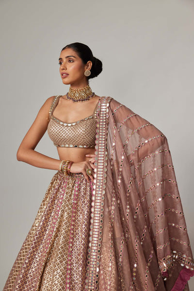 V Vani Vats Deep Beige Multicolor Metallic Lehenga With Square Neck Blouse indian designer wear online shopping melange singapore 