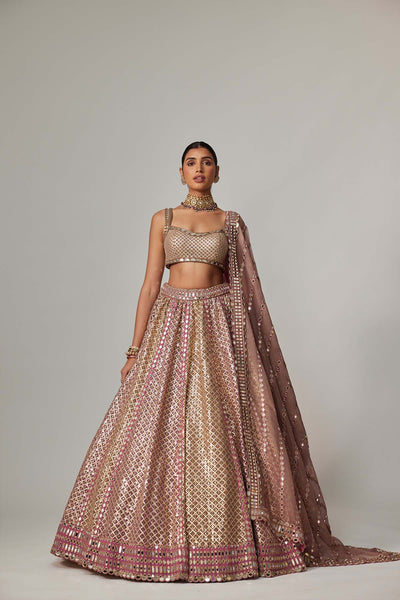 V Vani Vats Deep Beige Multicolor Metallic Lehenga With Square Neck Blouse indian designer wear online shopping melange singapore 