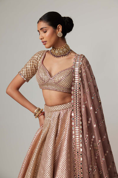 V Vani Vats Deep Beige Multicolor Mettalic Lehenga Set indian designer wear online shopping melange singapore 