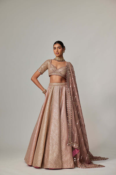 V Vani Vats Deep Beige Multicolor Mettalic Lehenga Set indian designer wear online shopping melange singapore 
