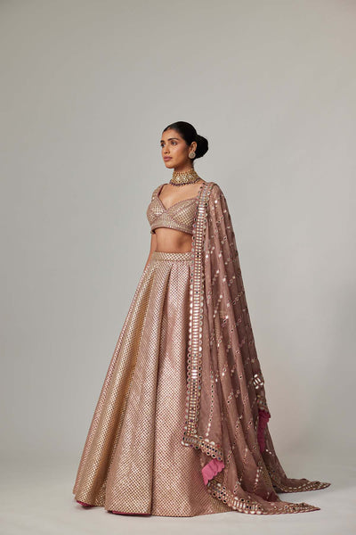 V Vani Vats Deep Beige Multicolor Mettalic Lehenga Set indian designer wear online shopping melange singapore 