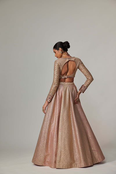 V Vani Vats Deep Beige Multicolor V Neck Crop Top With Skirt indian designer wear online shopping melange singapore 