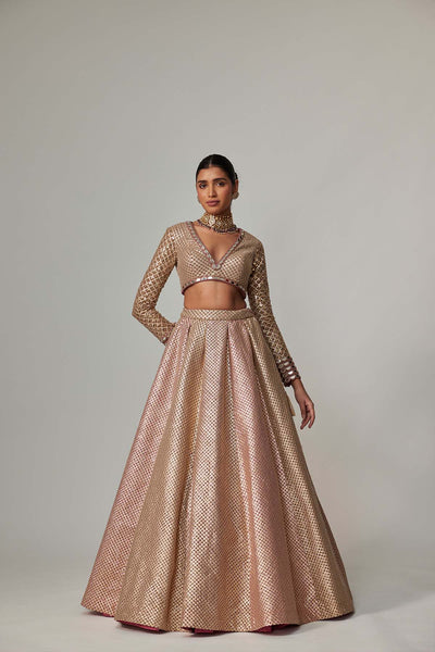 V Vani Vats Deep Beige Multicolor V Neck Crop Top With Skirt indian designer wear online shopping melange singapore 