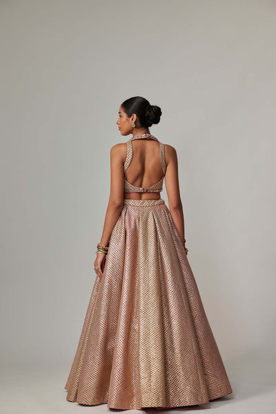 V Vani Vats Deep Beige Multicolor With Crop Top indian designer wear online shopping melange singapore 