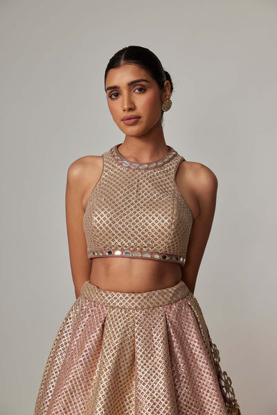 V Vani Vats Deep Beige Multicolor With Crop Top indian designer wear online shopping melange singapore 