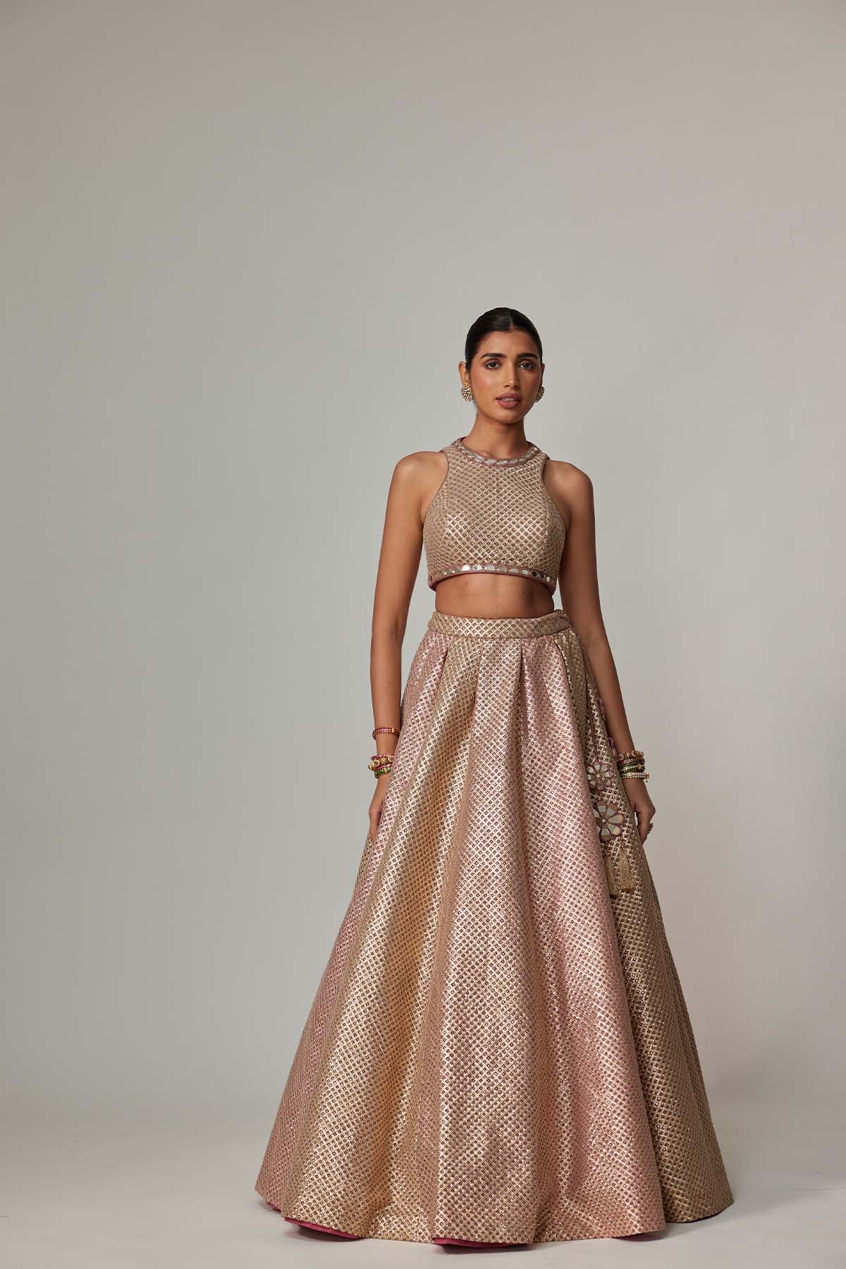 V Vani Vats Deep Beige Multicolor With Crop Top indian designer wear online shopping melange singapore 
