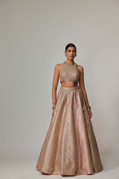 V Vani Vats Deep Beige Multicolor With Crop Top indian designer wear online shopping melange singapore 