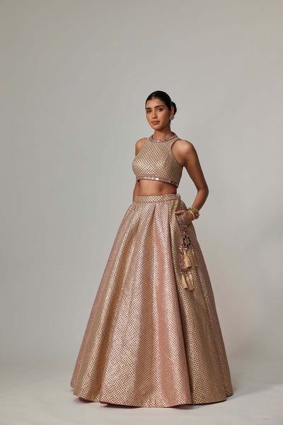 V Vani Vats Deep Beige Multicolor With Crop Top indian designer wear online shopping melange singapore 