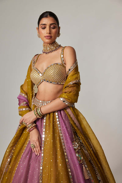 V Vani Vats Green Multicolor Sequin Scatter Lehenga Set indian designer wear online shopping melange singapore 