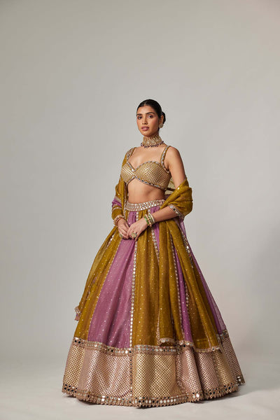 V Vani Vats Green Multicolor Sequin Scatter Lehenga Set indian designer wear online shopping melange singapore 