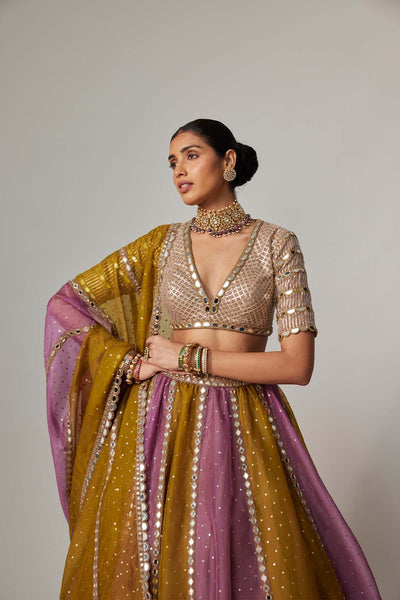 V Vani Vats Green Multicolor Sequin Scatter Lehenga With V Neck Elbow Sleeve Blouse indian designer wear online shopping melange singapore 
