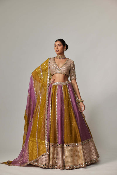 V Vani Vats Green Multicolor Sequin Scatter Lehenga With V Neck Elbow Sleeve Blouse indian designer wear online shopping melange singapore 
