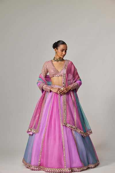 V Vani Vats Mauve Multicolor Linear Lehenga With V Neck Blouse indian designer wear online shopping melange singapore 