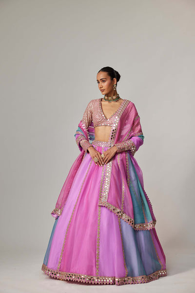 V Vani Vats Mauve Multicolor Linear Lehenga With V Neck Blouse indian designer wear online shopping melange singapore 