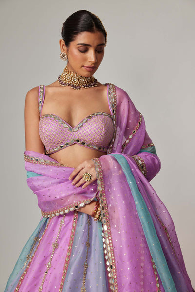 V Vani Vats Mauve Multicolor Sequin Scattered Lehenga With Sweetheart Neck Blouse indian designer wear online shopping melange singapore 