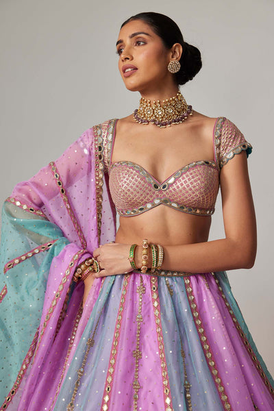 V Vani Vats Mauve Multicolor Sequins Scatter Lehenga With Cap Sleeve Blouse indian designer wear online shopping melange singapore 