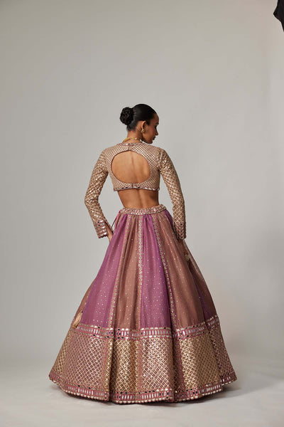 V Vani Vats Mud Mauve Multicolor Chita Sequin Scattered Lehenga Set With V Neck Full Sleeves indian designer wear online shopping melange singapore 