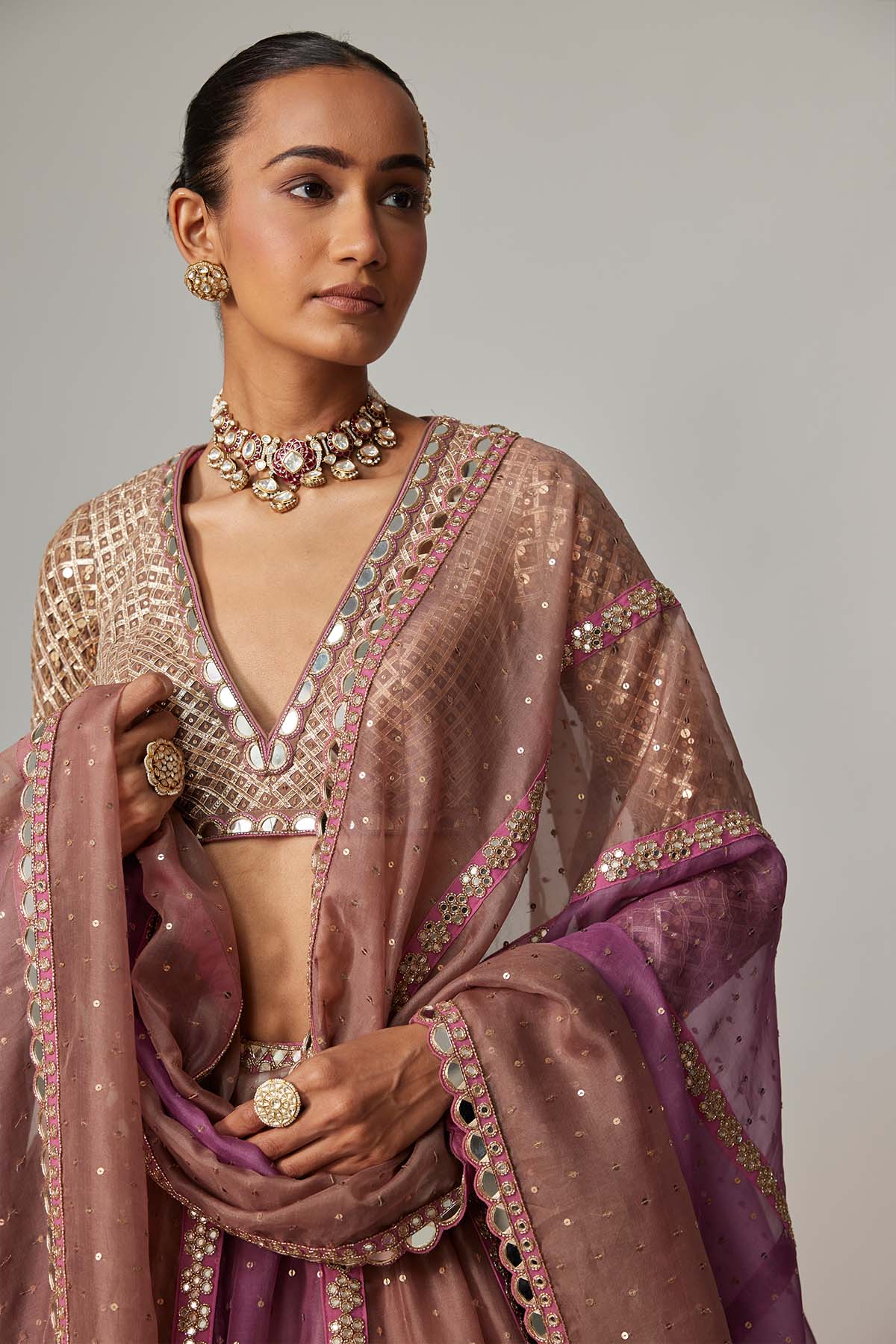 V Vani Vats Mud Mauve Multicolor Chita Sequin Scattered Lehenga Set With V Neck Full Sleeves indian designer wear online shopping melange singapore 